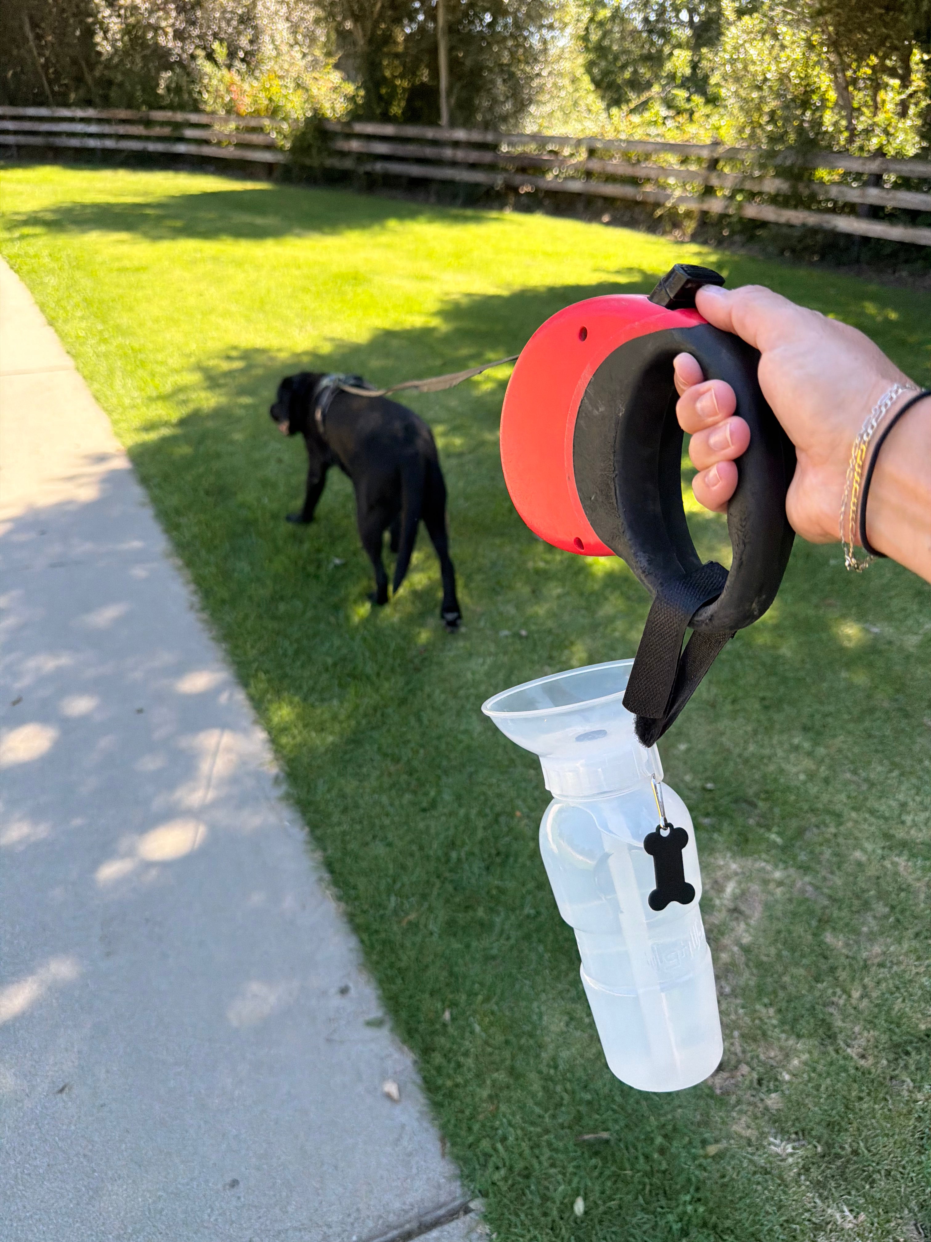 AutoDogMug® Clear